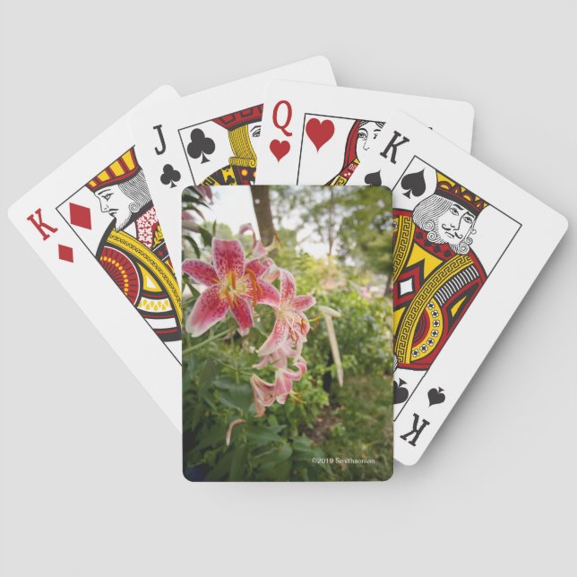 Jeu De Cartes Lillies rose (dos)
