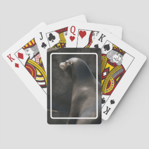 Jeu De Cartes Lion de mer