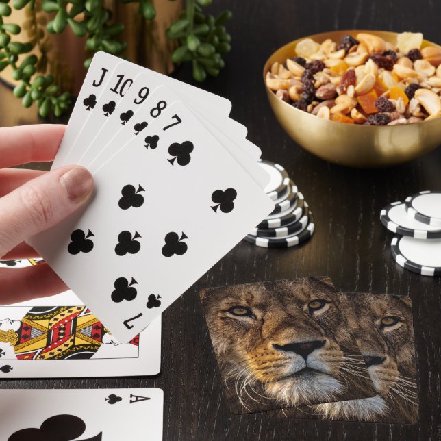 Jeu De Cartes Lion, Homme Adulte (In Situ)