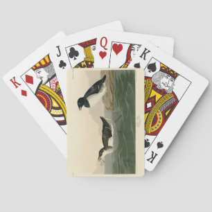 Jeu De Cartes Little Auk (Dovekie) - Audubon's Birds of America