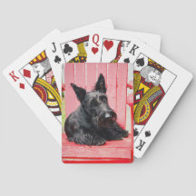 Little Scottie dans une grande chaise rouge