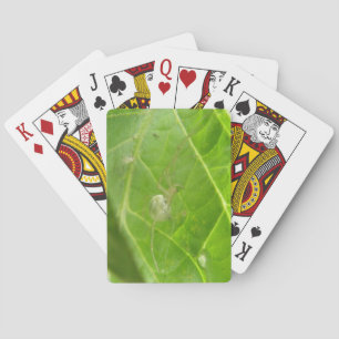 Jeu De Cartes Little Spider Jouer aux cartes