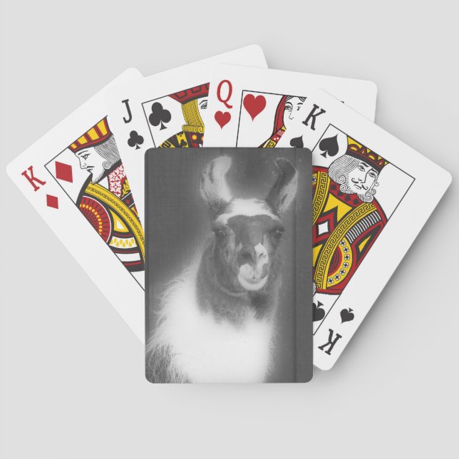 Jeu De Cartes Llama En Animal De Ferme Noir Et Blanc (dos)
