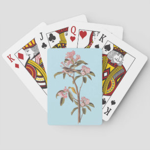 Jeu De Cartes L'Oiseau de couvier d'Audubon sur Calico Rose