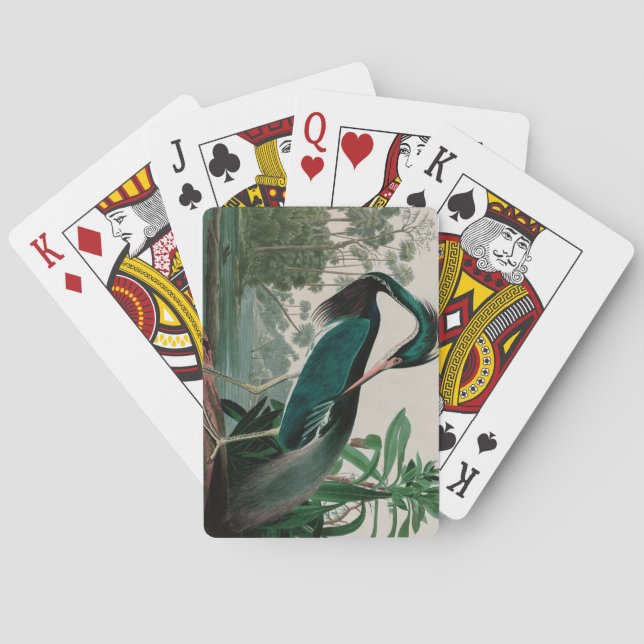 Jeu De Cartes Louisiane Heron Birds of America Audubon Print (dos)