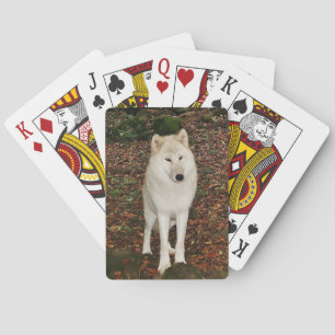 Jeu De Cartes Loup blanc