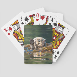 Jeu De Cartes Loup de mer agité