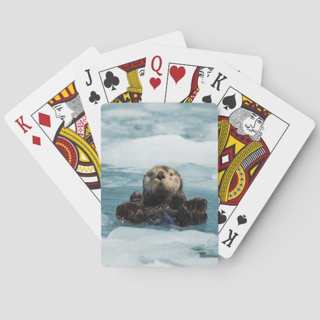 Jeu De Cartes Loutre de flottement (dos)