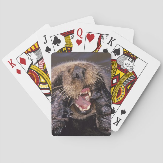 Jeu De Cartes Loutres de mer, Enhydra lutris 6 (dos)