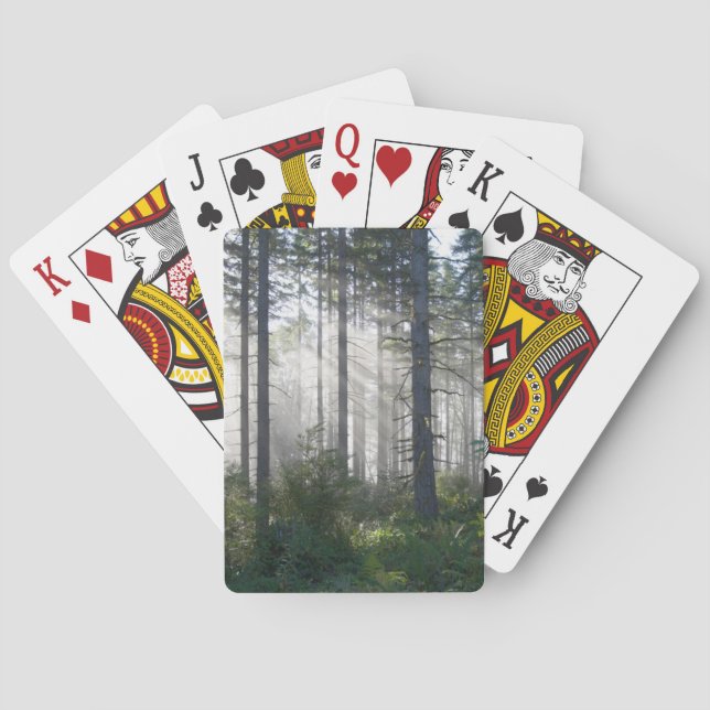 Jeu De Cartes Lumière du soleil traversant une forêt brumeuse (dos)