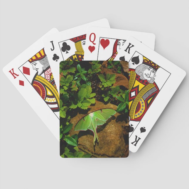 Jeu De Cartes Luna verte géante (dos)