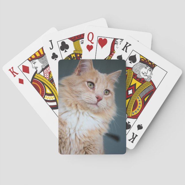 Jeu De Cartes M. Handsome (dos)