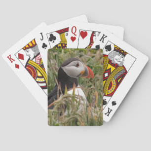 Jeu De Cartes Macareux dans l'herbe