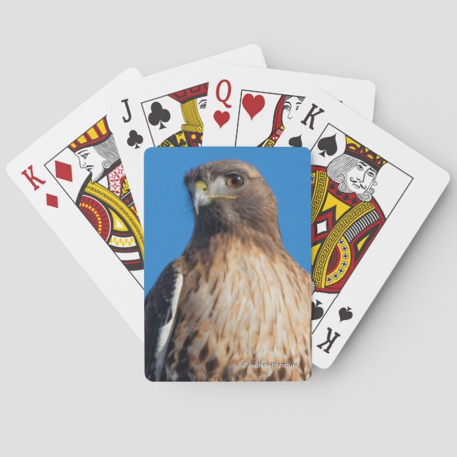 Jeu De Cartes Magnifique Buse à queue rouge au soleil (dos)