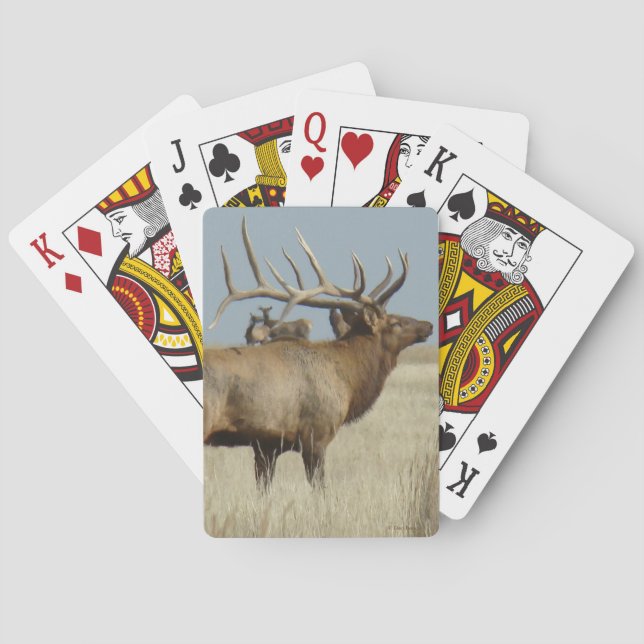 Jeu De Cartes Maître de troupeau d'élans de taureaux E4 (dos)