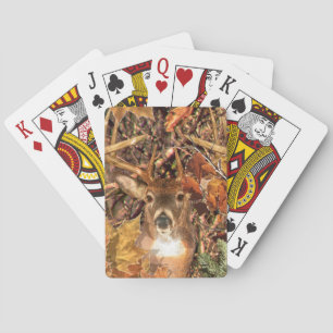 Jeu De Cartes Mâle dans des cerfs communs de queue blanche de