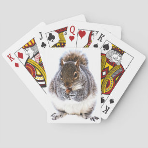 Jeu De Cartes Manger l'écureuil