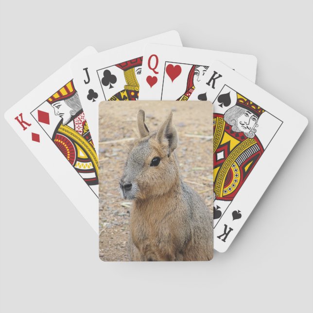 JEU DE CARTES MARA PATAGONIEN (dos)