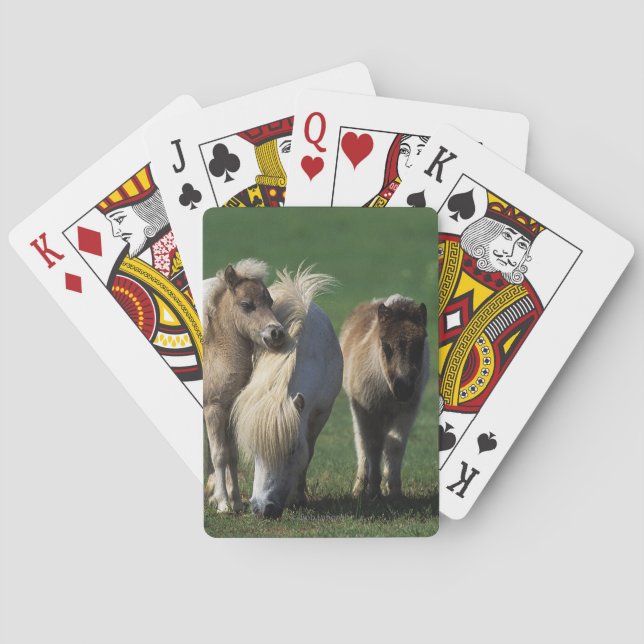 Jeu De Cartes Mare miniature et Foies 1 (dos)