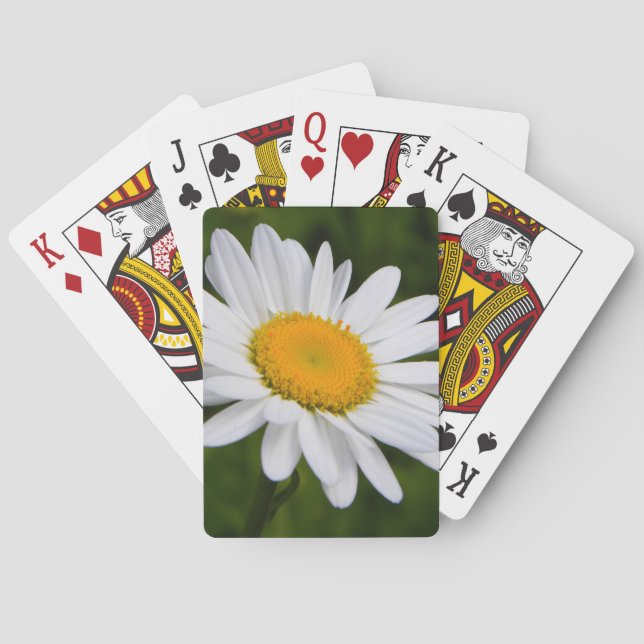 Jeu De Cartes Marguerite en fleur (dos)