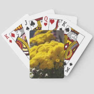 Jeu De Cartes Marigolds jaune lézarde à la lumière du soleil