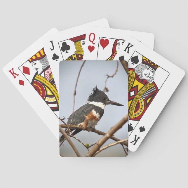 Jeu De Cartes Martin-pêcheur (dos)