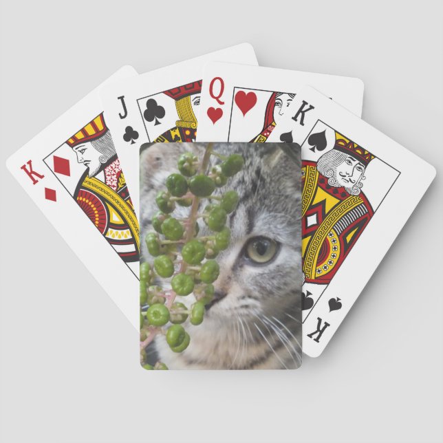 Jeu De Cartes Masquer Kitten (dos)