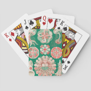Jeu De Cartes Méduse, Discomedusae par Ernst Haeckel