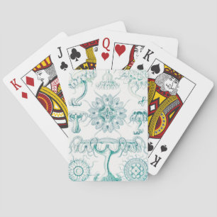 Jeu De Cartes Méduses, Discomedusae par Ernst Haeckel
