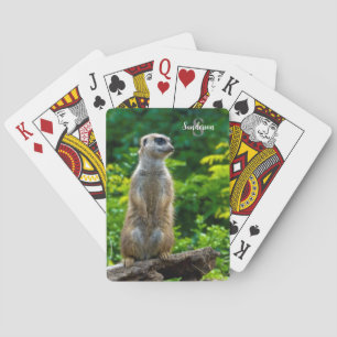 Jeu De Cartes Meerkat Jouer aux cartes