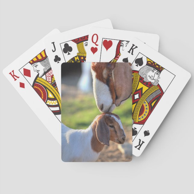 Jeu De Cartes Mère Chèvre et bébé (dos)
