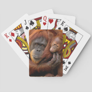 Jeu De Cartes Mère et bébé Orangoutan