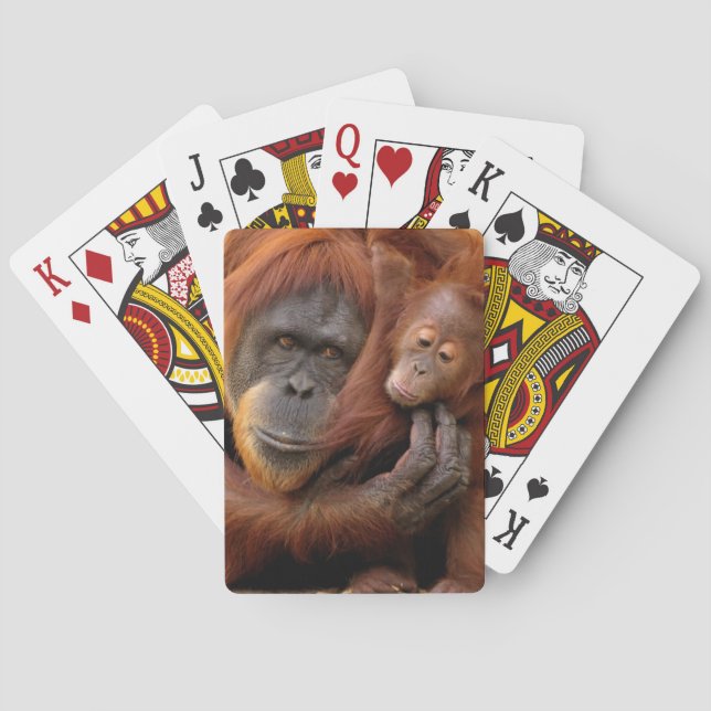 Jeu De Cartes Mère et bébé Orangoutan (dos)