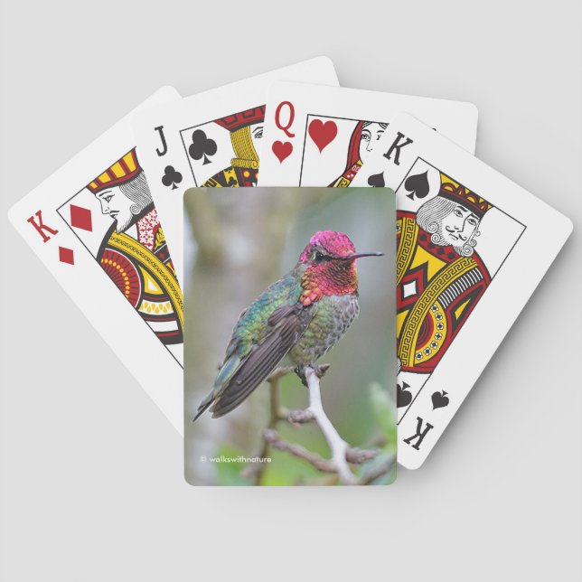 Jeu De Cartes Merveilleux colibri d'Anna masculine sur le prunie (dos)