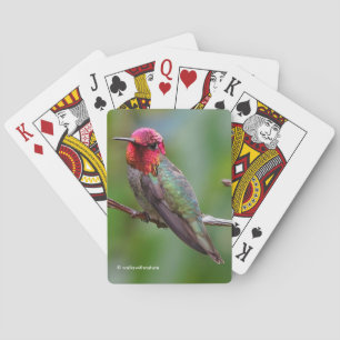 Jeu De Cartes Merveilleux colibri d'Anna sur un arbre fruitier