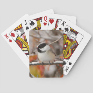 Jeu De Cartes Mésange à tête noire adulte dans la neige