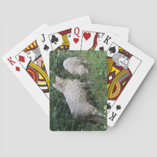 Jeu De Cartes Mignonne Manger Feuilles Jouer aux cartes