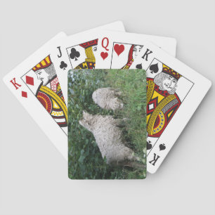 Jeu De Cartes Mignonne Manger Feuilles Jouer Des Cartes