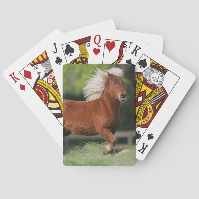 Jeu De Cartes "Miniature Horse Standing" (dos)
