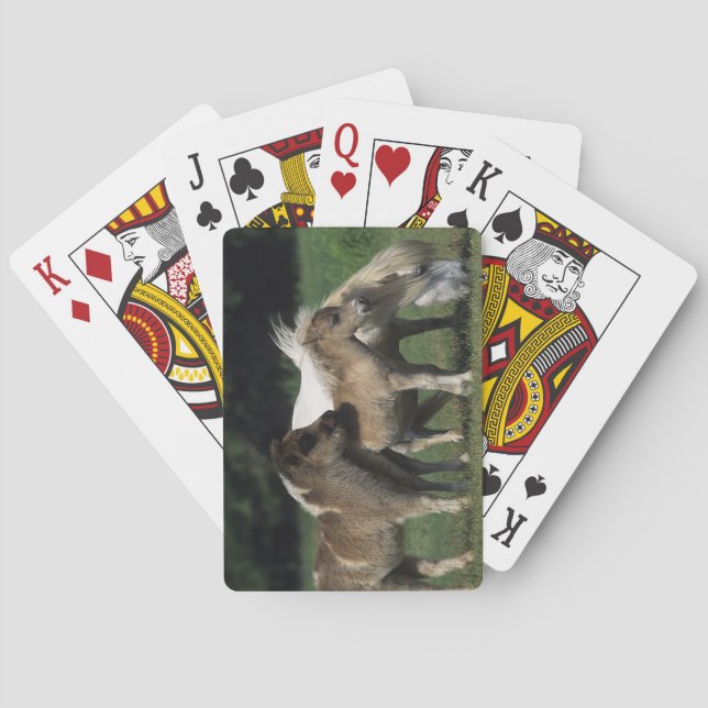 Jeu De Cartes Miniature Mare & Foals 3 (dos)