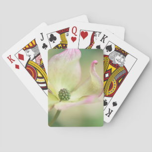 Jeu De Cartes Mlle Satomi'de Kousa de cornus de la fleur   de