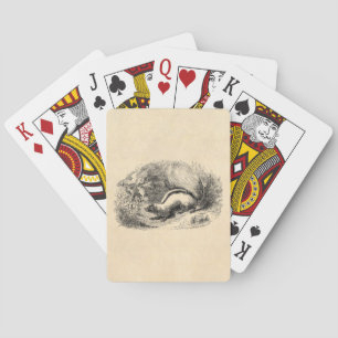 Jeu De Cartes Modèle vintage d'illustration de mouffettes de
