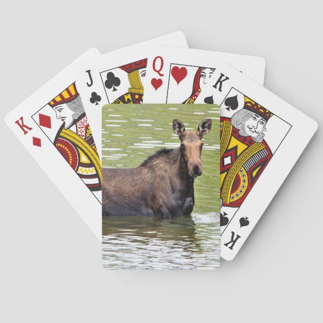 Jeu De Cartes Moose majestueuse (dos)