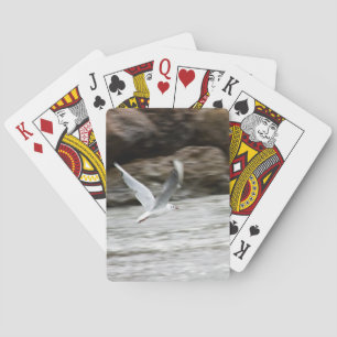 Jeu De Cartes Mouettes Jouant Des Cartes