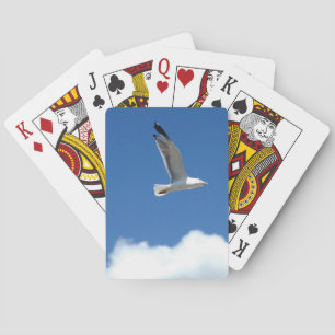 Jeu De Cartes Mouettes Jouant Des Cartes