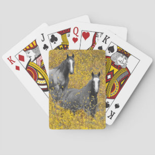 Jeu De Cartes Moutarde et chevaux
