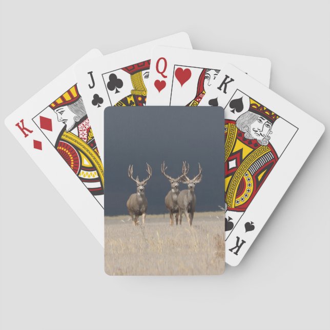 Jeu De Cartes Mule Deer Bucks Vélo Playceur Cartes (dos)