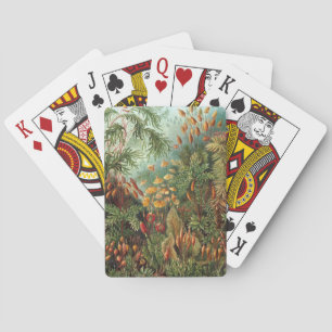 Jeu De Cartes Muscinae vintage, plantes de mousse par Ernst Haec
