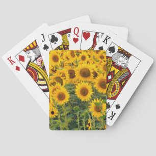 Jeu De Cartes Na, États-Unis, Colorado, tournesols