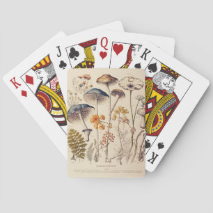 Jeu De Cartes Naturaliste de champignons vintages